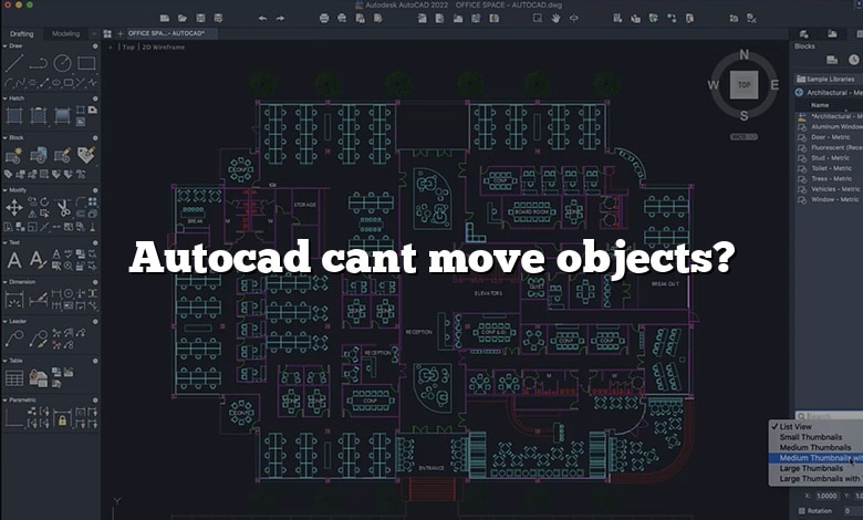 Autocad cant move objects?
