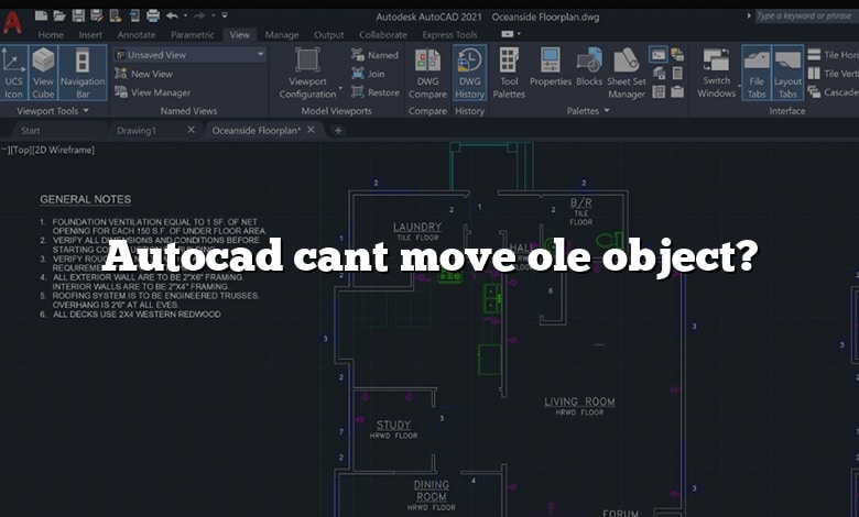 Autocad cant move ole object?
