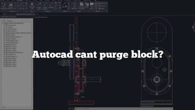 Autocad cant purge block?