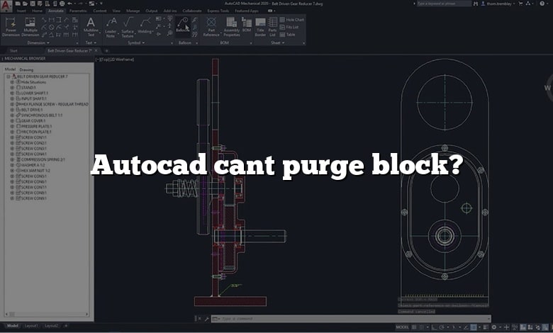 Autocad cant purge block?