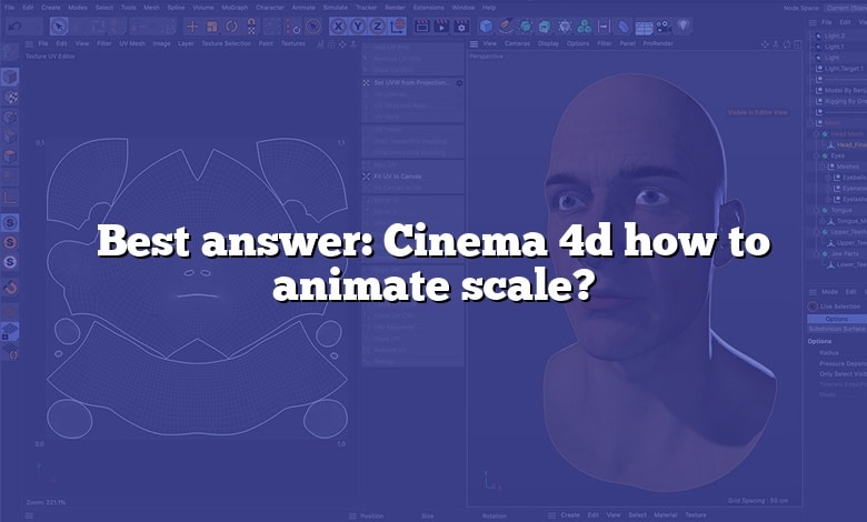 Best answer: Cinema 4d how to animate scale?