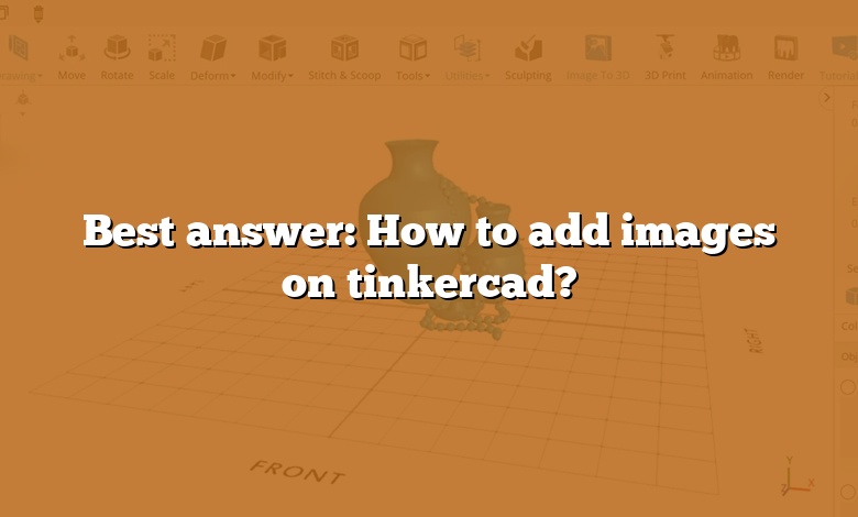 Best answer: How to add images on tinkercad?