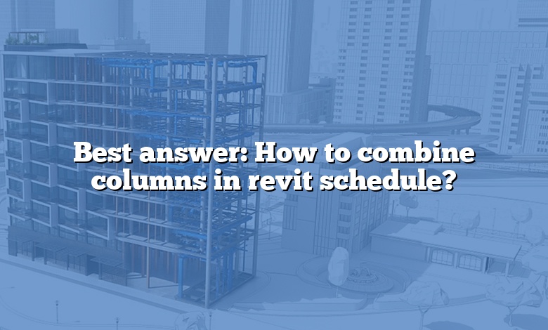 Best answer: How to combine columns in revit schedule?