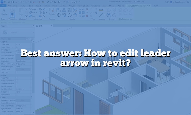 Best answer: How to edit leader arrow in revit?