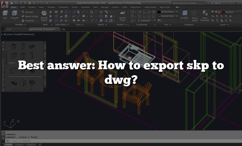 Best answer: How to export skp to dwg?