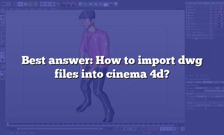 Best answer: How to import dwg files into cinema 4d?