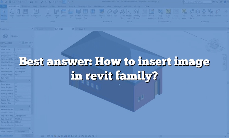 Best answer: How to insert image in revit family?