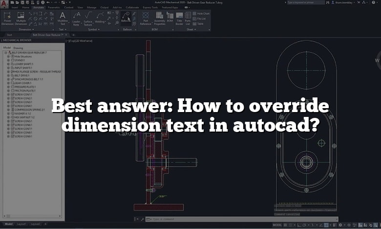 Best answer: How to override dimension text in autocad?