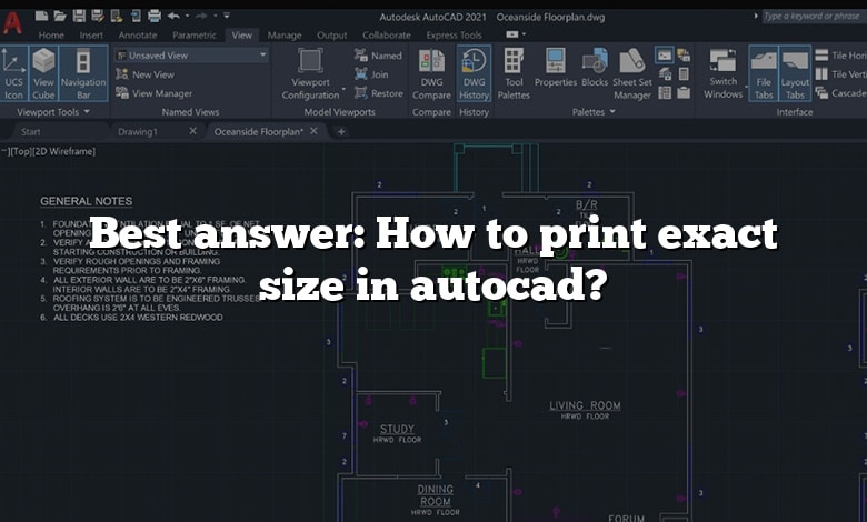 Best answer: How to print exact size in autocad?