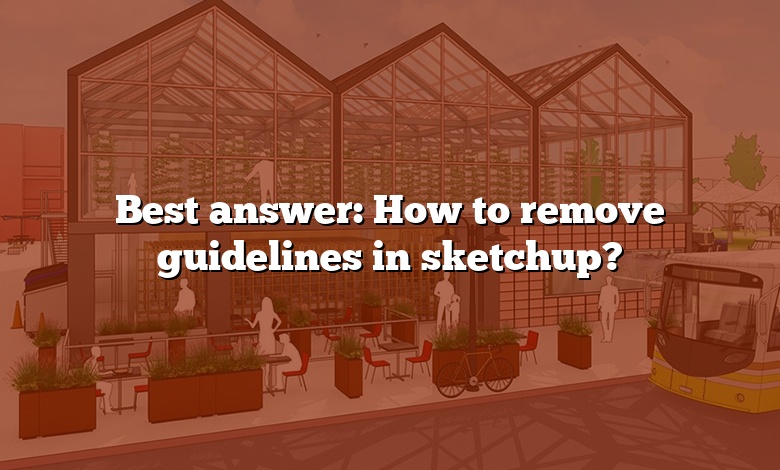 Best answer: How to remove guidelines in sketchup?
