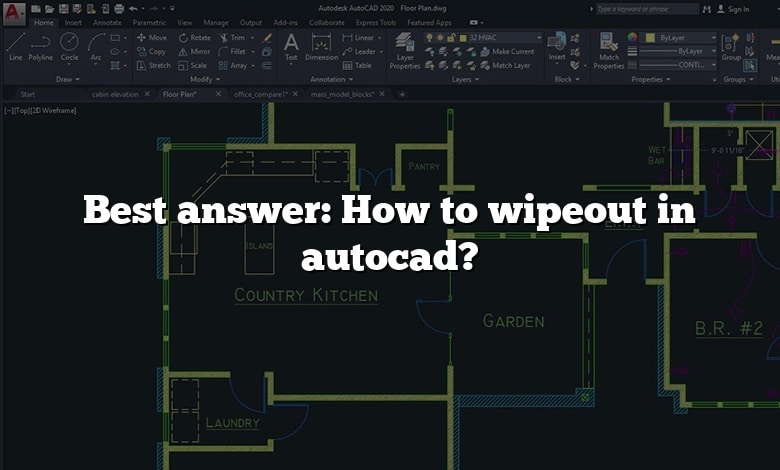Best answer: How to wipeout in autocad?