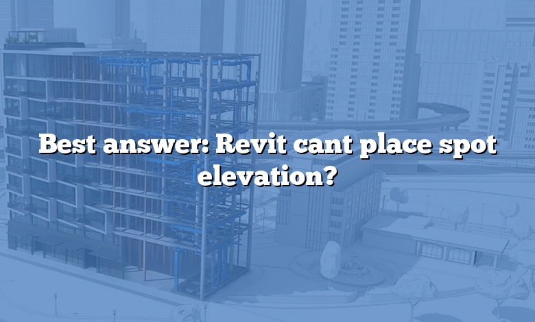 Best answer: Revit cant place spot elevation?