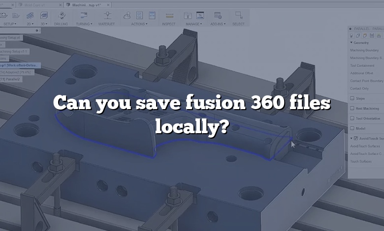 Can you save fusion 360 files locally?