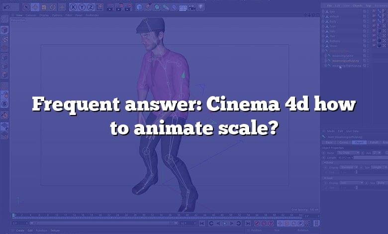 Frequent answer: Cinema 4d how to animate scale?