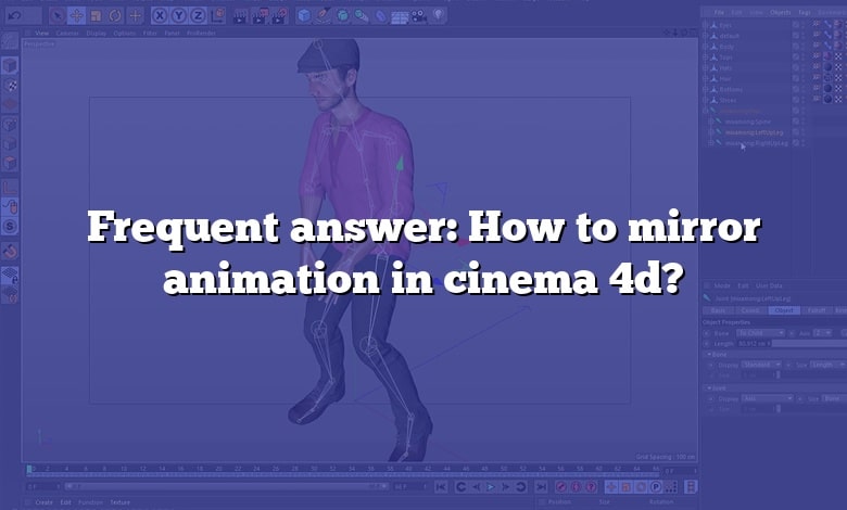Frequent answer: How to mirror animation in cinema 4d?