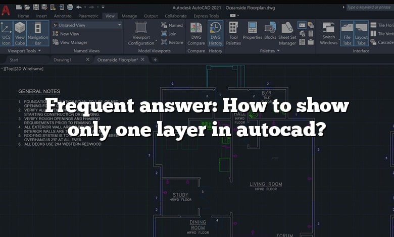 Frequent answer: How to show only one layer in autocad?