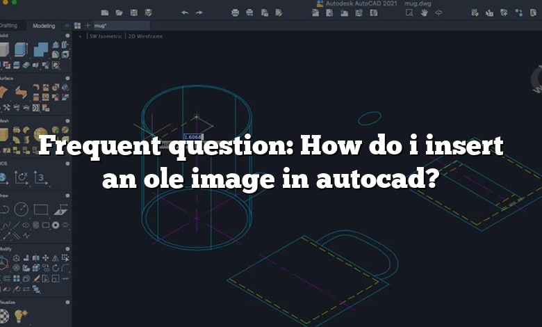 Frequent question: How do i insert an ole image in autocad?