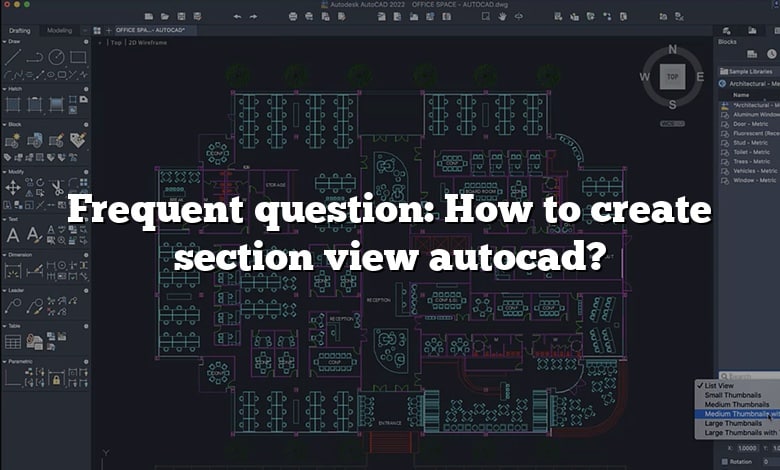 Frequent question: How to create section view autocad?
