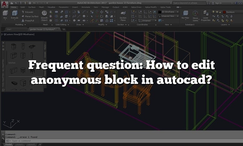 Frequent question: How to edit anonymous block in autocad?