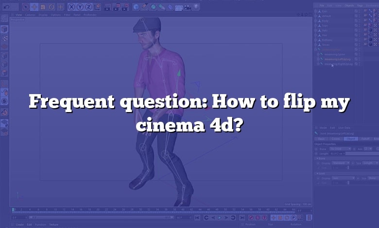 Frequent question: How to flip my cinema 4d?