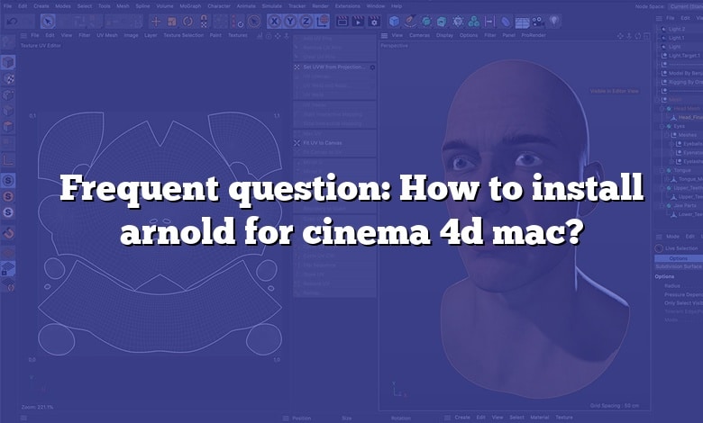 Frequent question: How to install arnold for cinema 4d mac?