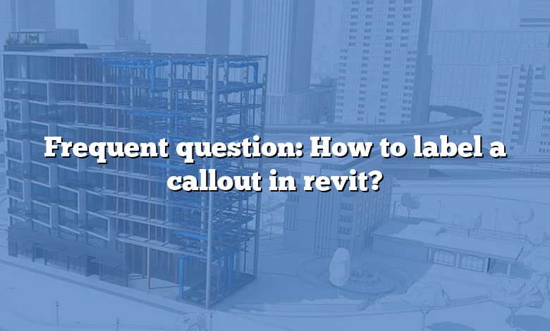 Frequent question: How to label a callout in revit?