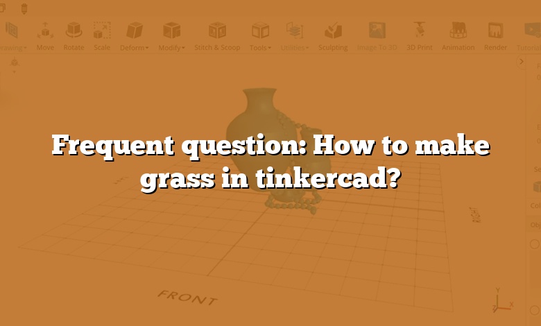 Frequent question: How to make grass in tinkercad?