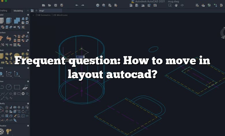 Frequent question: How to move in layout autocad?