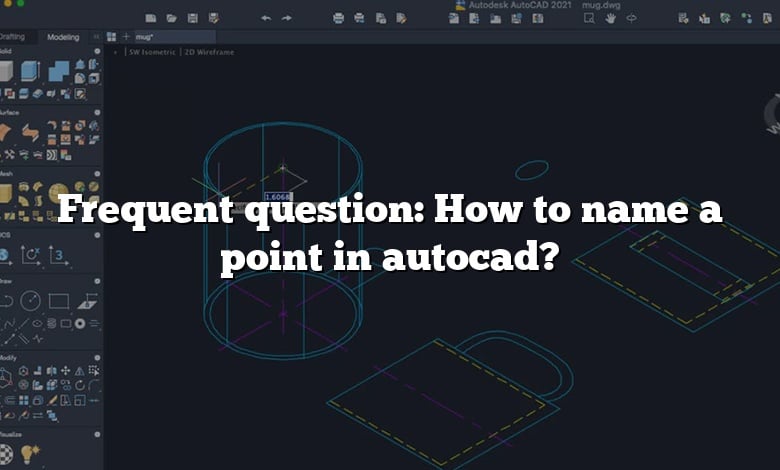 Frequent question: How to name a point in autocad?