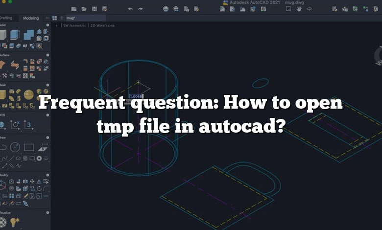Frequent question: How to open tmp file in autocad?