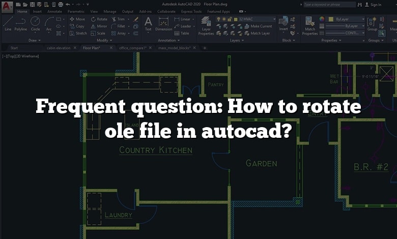 Frequent question: How to rotate ole file in autocad?