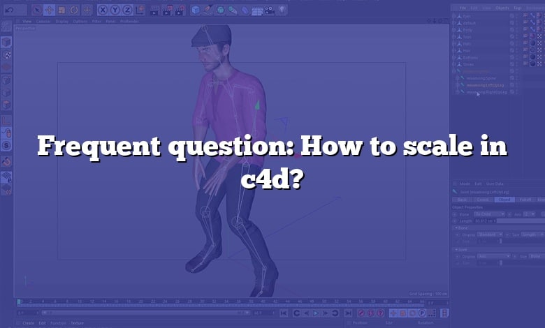 Frequent question: How to scale in c4d?