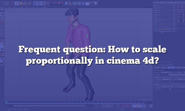 Frequent question: How to scale proportionally in cinema 4d?