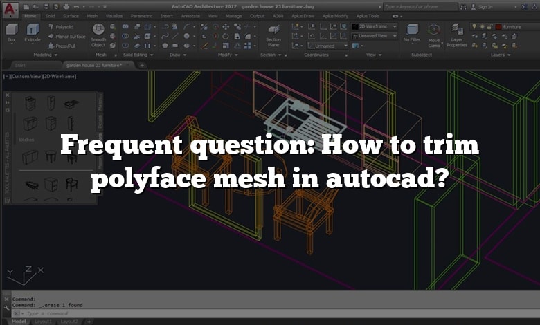 Frequent question: How to trim polyface mesh in autocad?