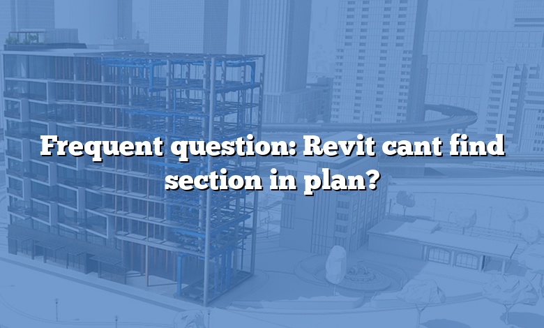 Frequent question: Revit cant find section in plan?