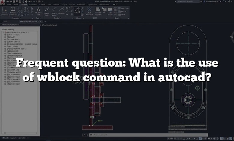 Frequent question: What is the use of wblock command in autocad?