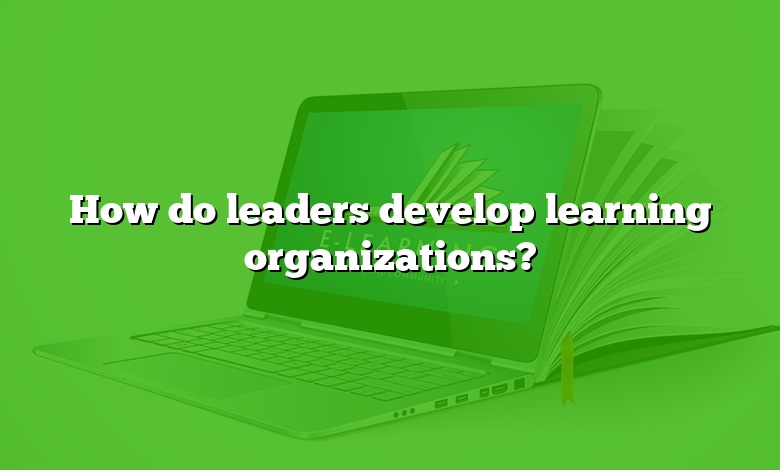 How do leaders develop learning organizations?