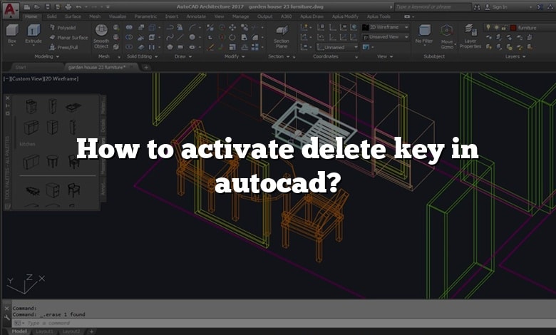 How to activate delete key in autocad?