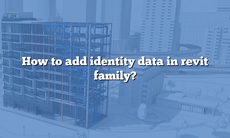 How to add identity data in revit family?