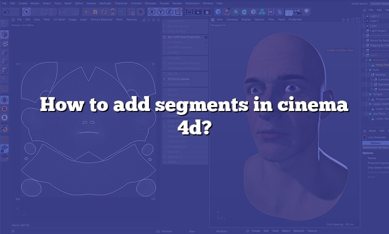 How to add segments in cinema 4d?