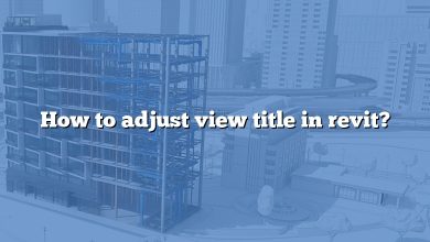 How to adjust view title in revit?