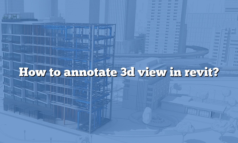 How to annotate 3d view in revit?
