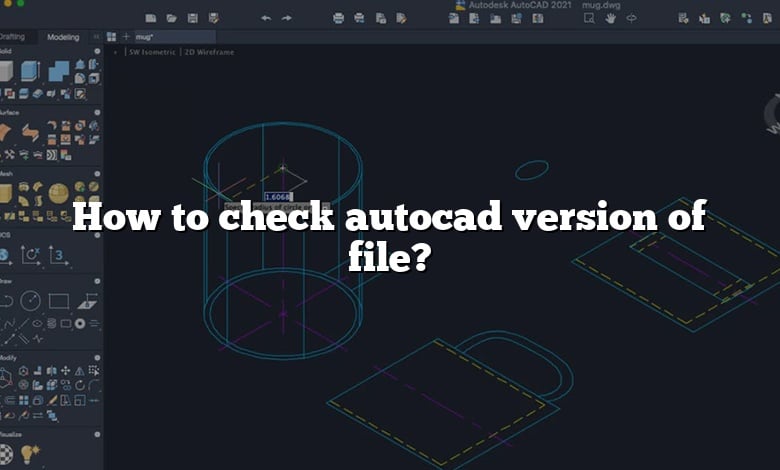 How to check autocad version of file?