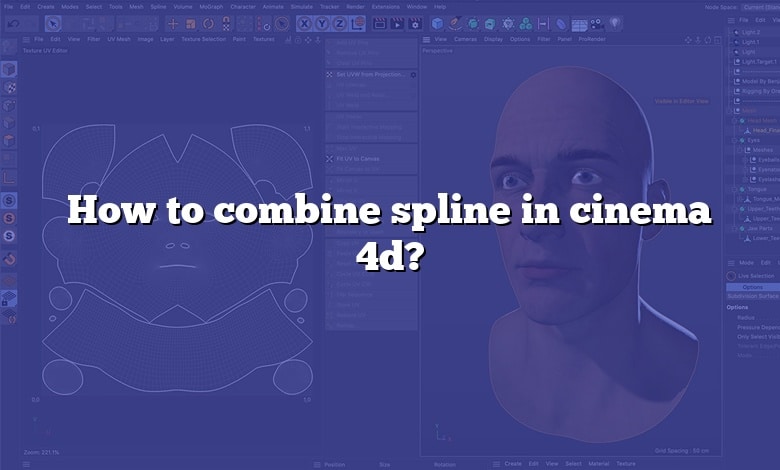 How to combine spline in cinema 4d?