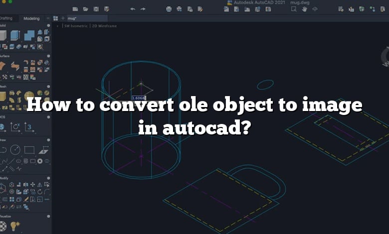 How to convert ole object to image in autocad?