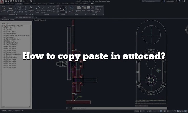 How to copy paste in autocad?