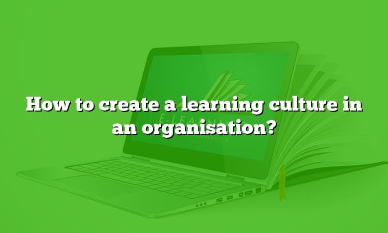 How to create a learning culture in an organisation?