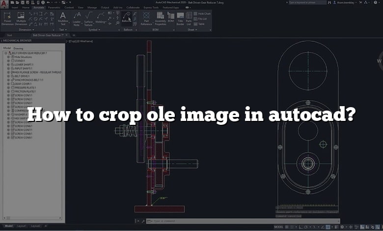 How to crop ole image in autocad?