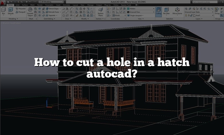How to cut a hole in a hatch autocad?
