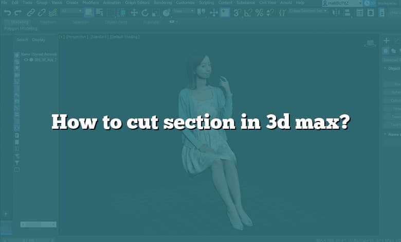 How to cut section in 3d max?